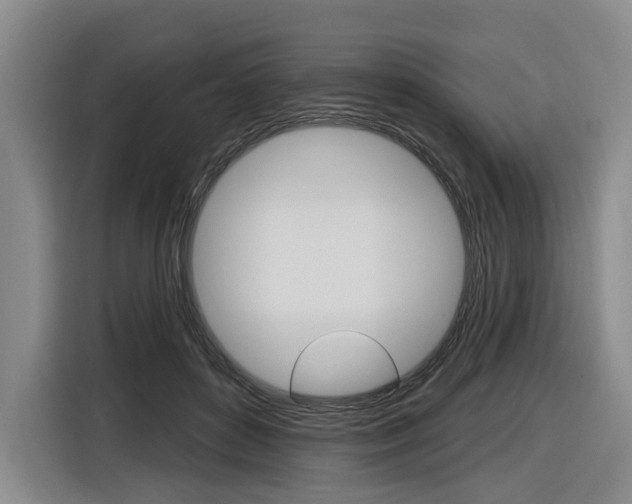 X0000116890504200912221007