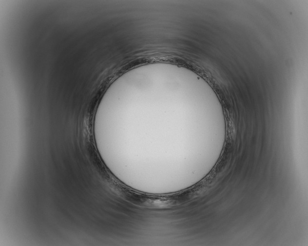 X0000116890506200912221007