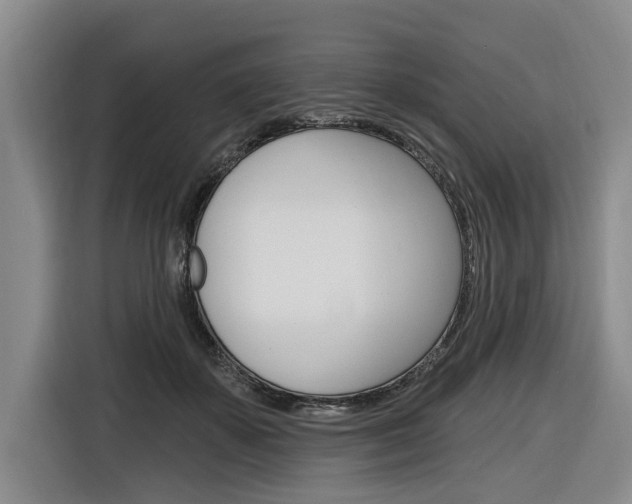 X0000116890507200912221007