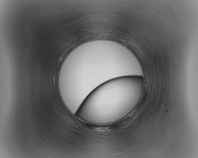X0000116890508200912221007