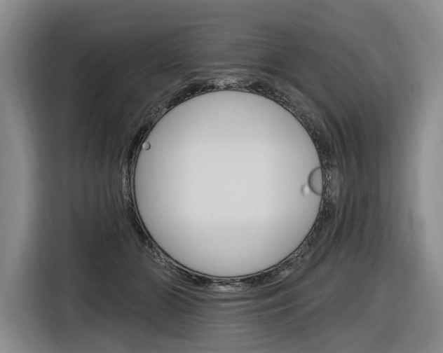 X0000116890510200912221007