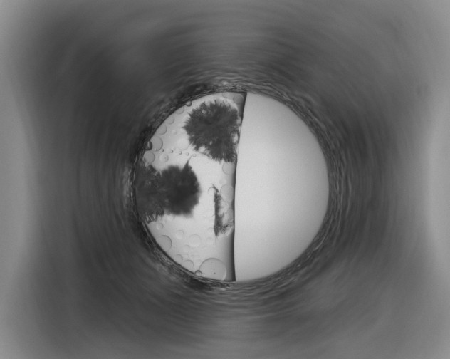 X0000116890511200912221007