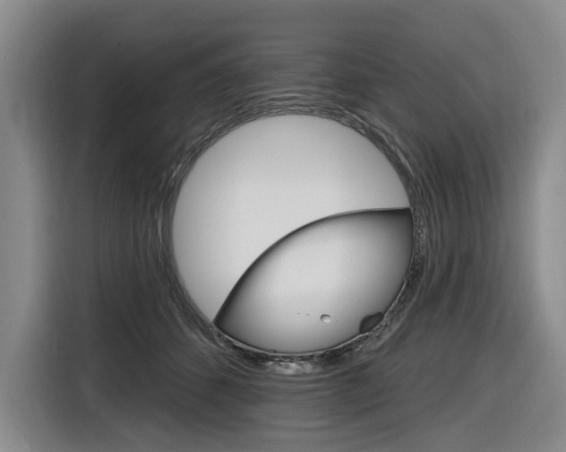 X0000116890512200912221007