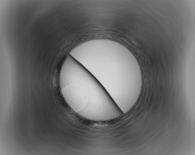 X0000116890515200912221007