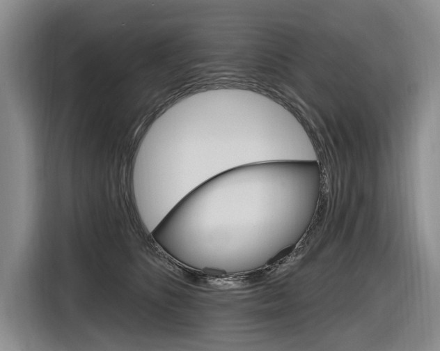 X0000116890516200912221007