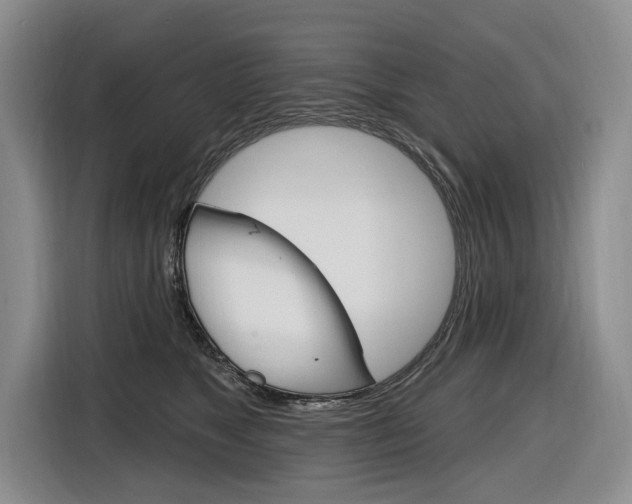 X0000116890517200912221007