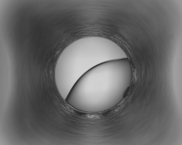 X0000116890520200912221007