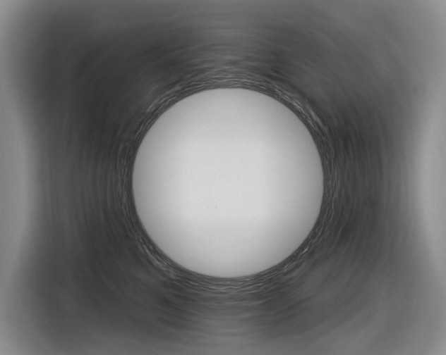 X0000116890521200912221007