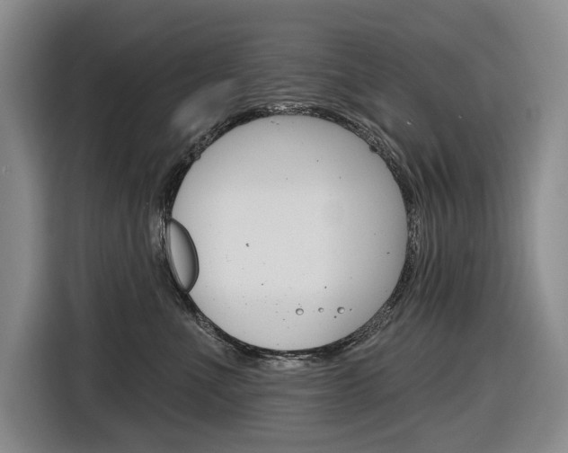X0000116890523200912221007