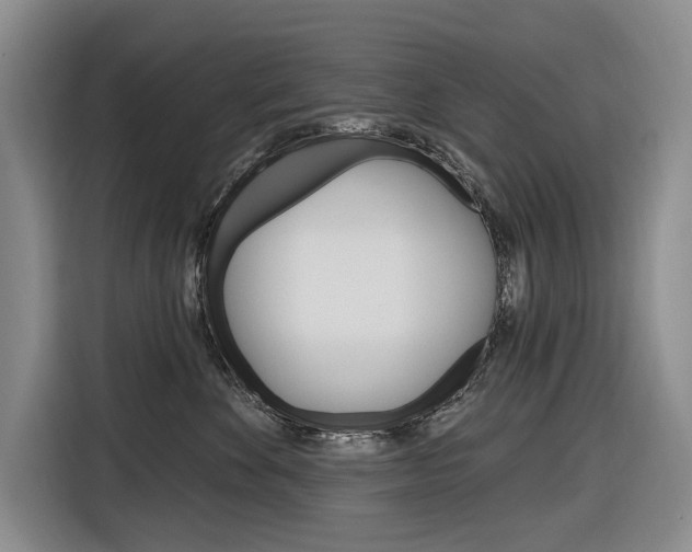 X0000116890524200912221007