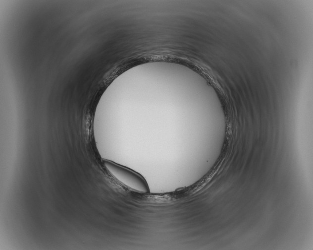 X0000116890525200912221007