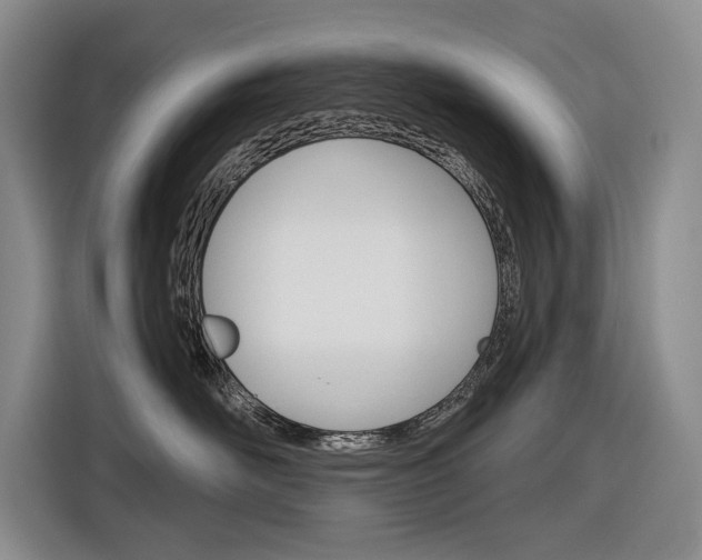 X0000116890526200912221007