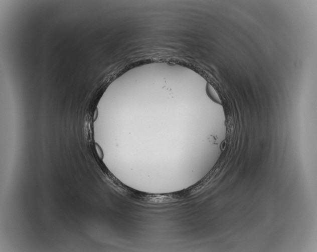 X0000116890527200912221007