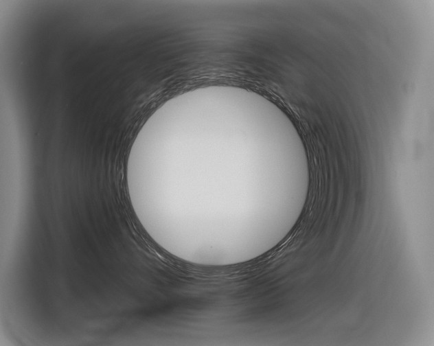 X0000116890528200912221007