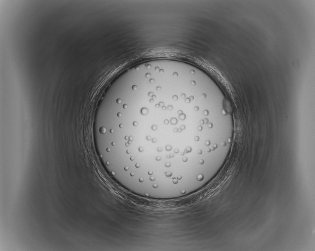 X0000116890529200912221006