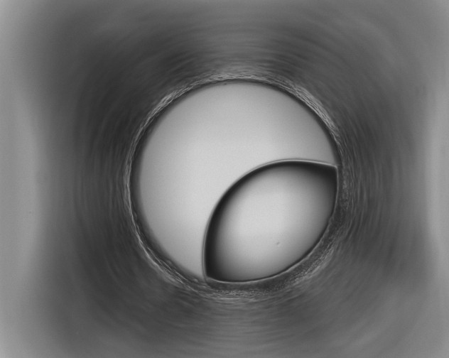 X0000116890530200912221006