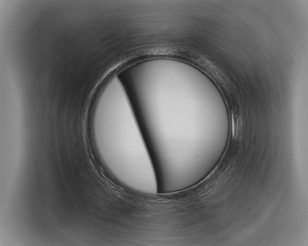 X0000116890531200912221006