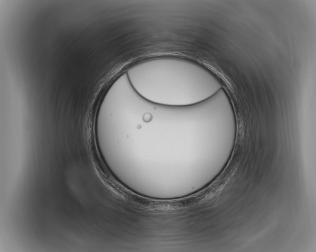 X0000116890533200912221006