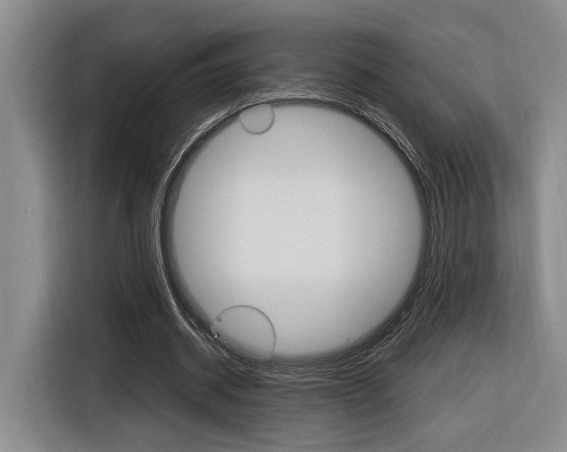 X0000116890534200912221006