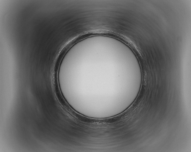 X0000116890535200912221006