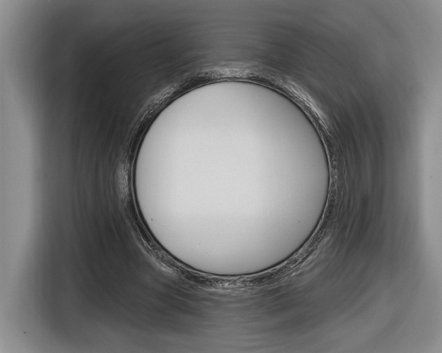 X0000116890537200912221006