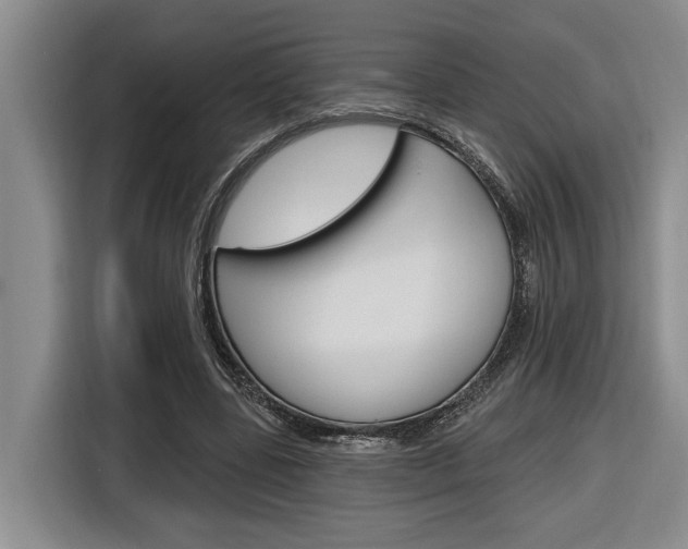 X0000116890539200912221006