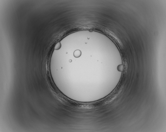 X0000116890541200912221006