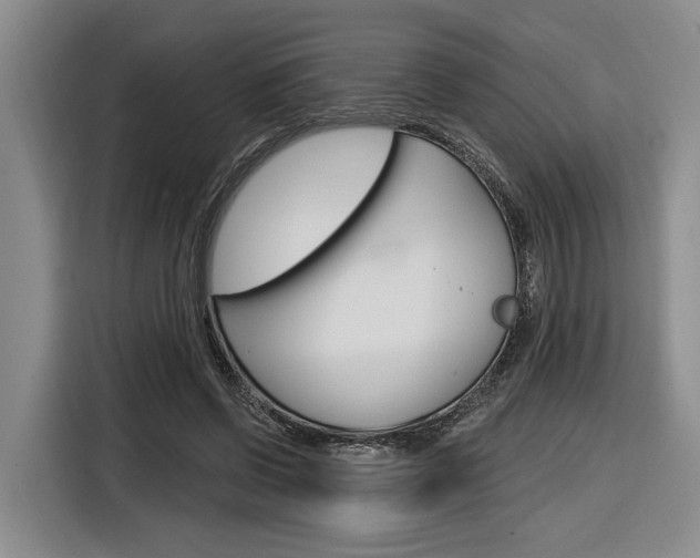 X0000116890542200912221006