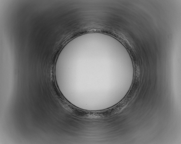 X0000116890545200912221006