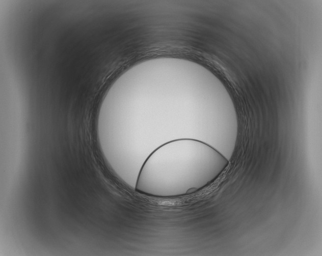 X0000116890546200912221006