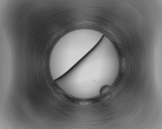 X0000116890547200912221006