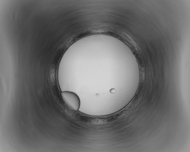 X0000116890549200912221006