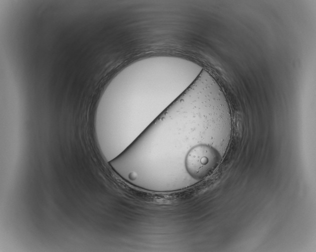 X0000116890550200912221006