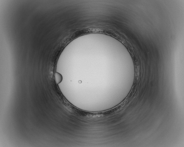 X0000116890553200912221006