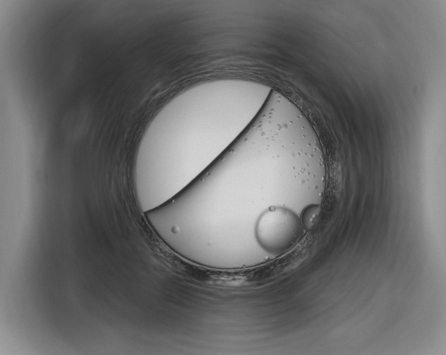X0000116890554200912221006