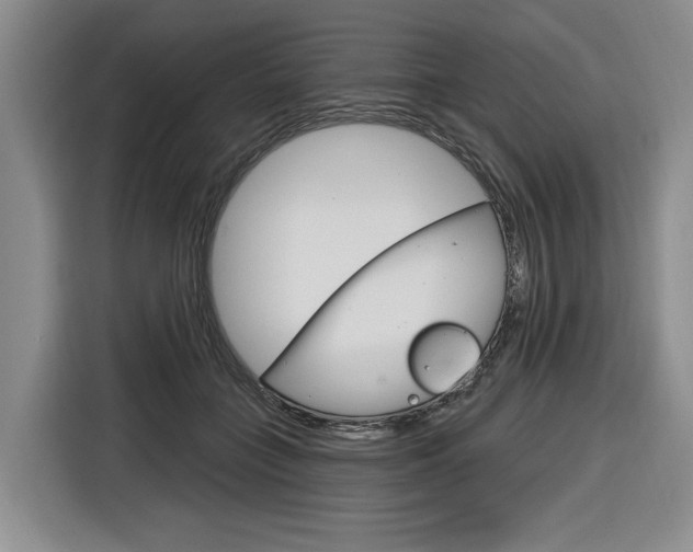 X0000116890555200912221006