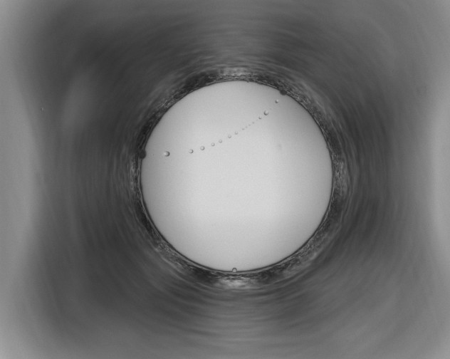 X0000116890557200912221006
