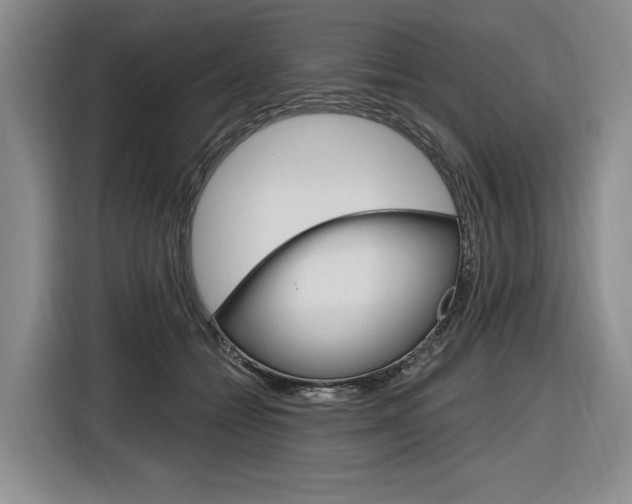 X0000116890558200912221006