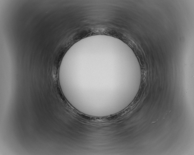 X0000116890561200912221006