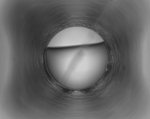 X0000116890562200912221006
