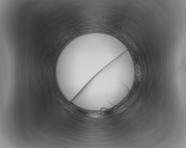 X0000116890563200912221006