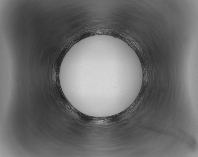 X0000116890569200912221006