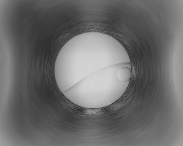 X0000116890571200912221006