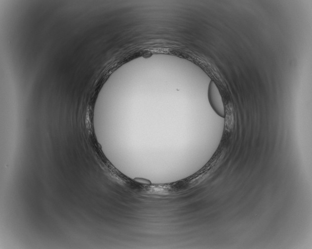 X0000116890573200912221006