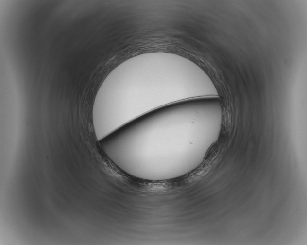 X0000116890574200912221006