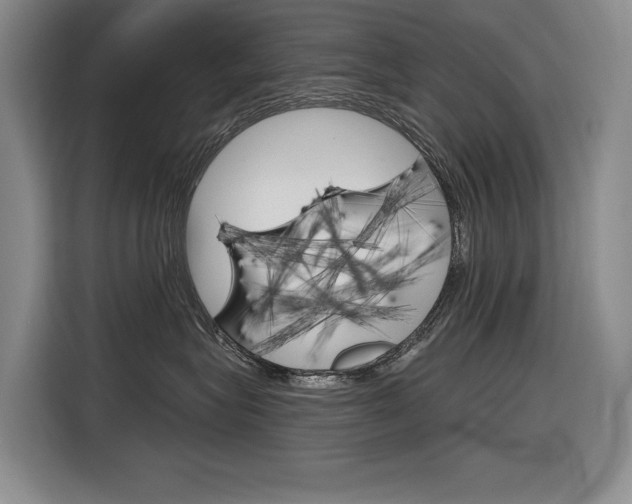 X0000116890575200912221006