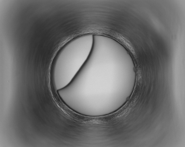 X0000116890578200912221006