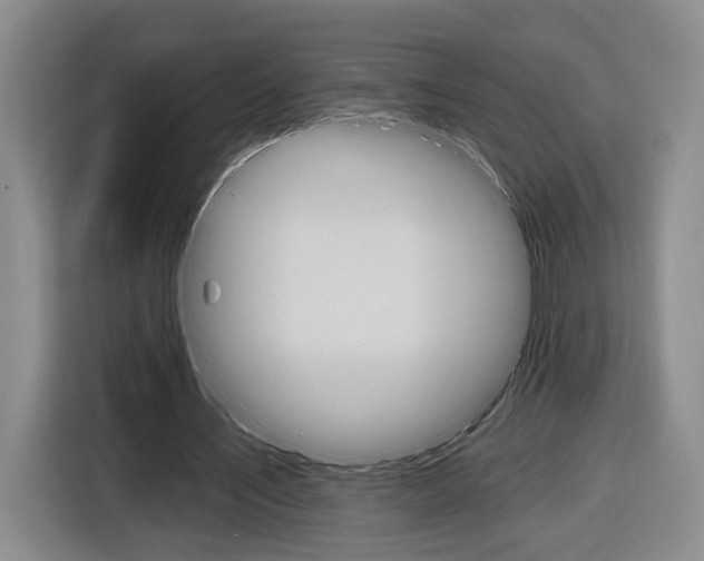 X0000116890579200912221006
