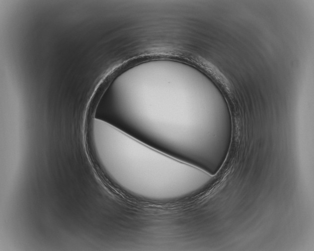 X0000116890580200912221006