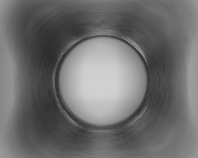 X0000116890581200912221006